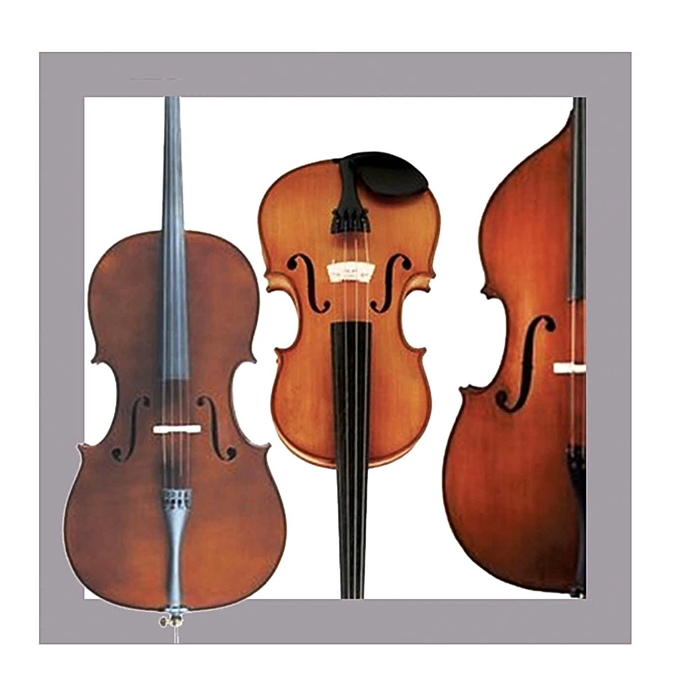 Kuğu Müzik Eğitim Keman Çello Kontrbas dersleri