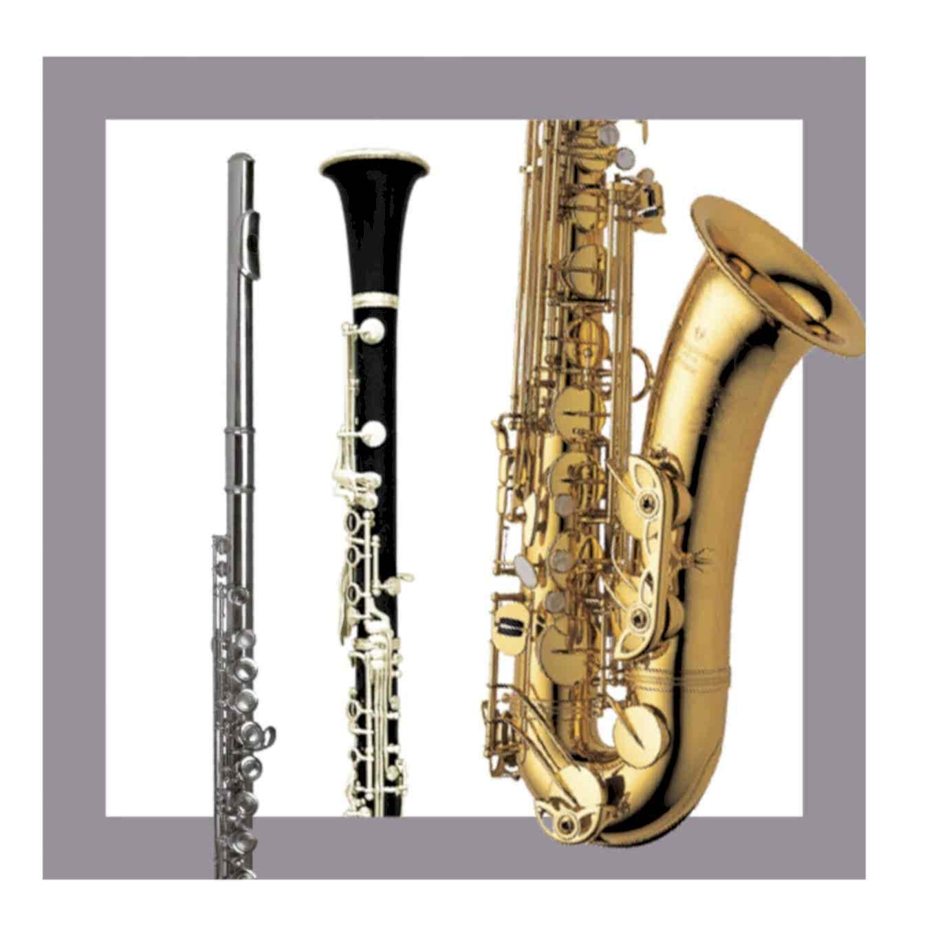 Kuğu Müzik Eğitim Saksafon Klarnet Flüt Dersleri